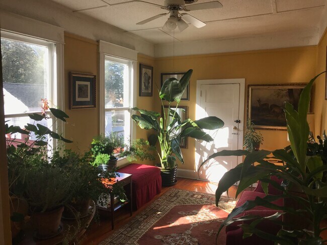 114 S 5th Ave unit UP, Wilmington, NC 28401 - photo 5