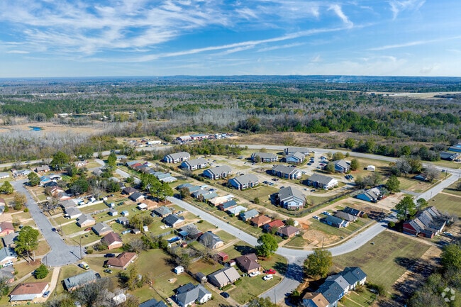 Vast tree-scapes stretch for miles in North Montgomery.