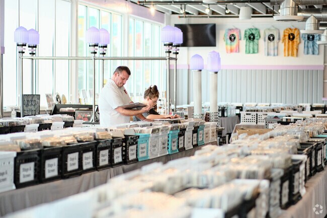 Hub City Vinyl offers records and live music near Fountainhead-Orchard Hills.