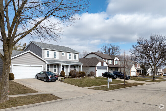 At West Schaumburg, you can find a varied style homes along a single sgreet.