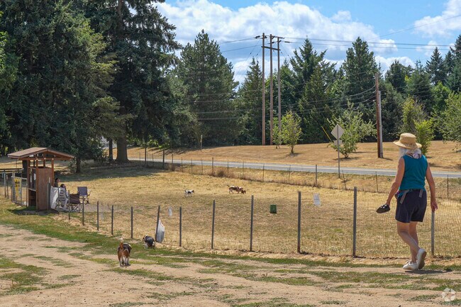 Get some exercise with your furry friends at Ike Memorial Dog Park in West Minnehaha.