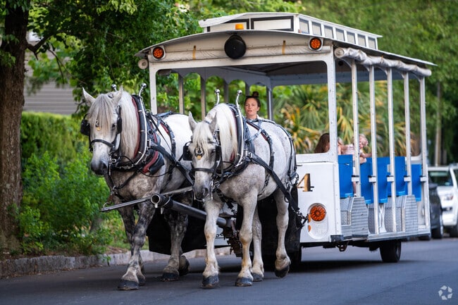 You can take a horse drawn tour in the Dry Pond-South Side neighborhood.