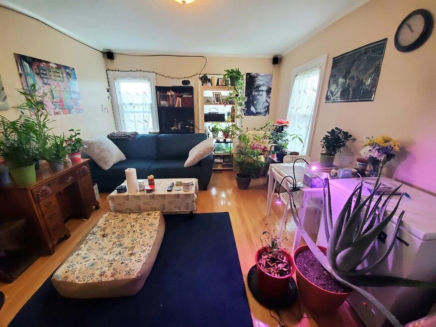 41 Mount Pleasant St, Somerville, MA 02145 - photo 1