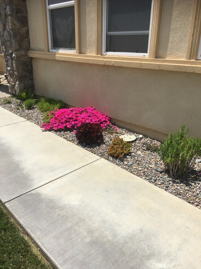 6568 N Caleb Ln unit Studio, San Bernardino, CA 92407 - photo 3