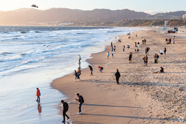 The beach life is available all year in sunny Pico in Santa Monica.