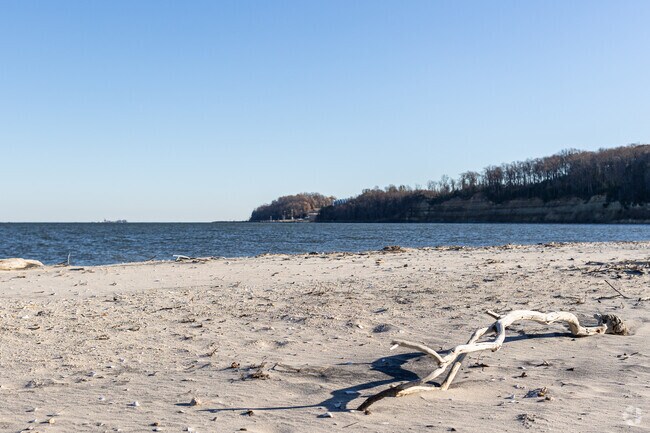 Flag Pond Park in St. Leonard is a great place to view the cliffs on the Chesapeake Bay.