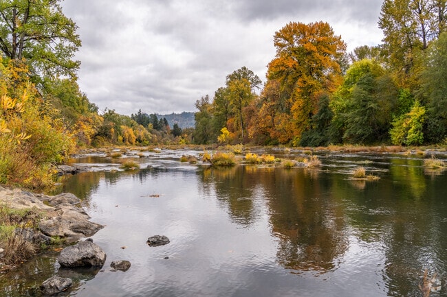 Calm river currents run through Harold and Sid Nicholas Park in Winston.