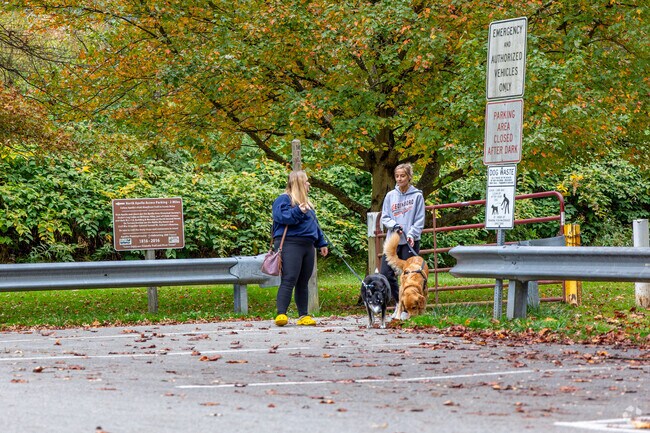 Dog walkers enjoy and peaceful, crisp fall day in Kiskiminetas.