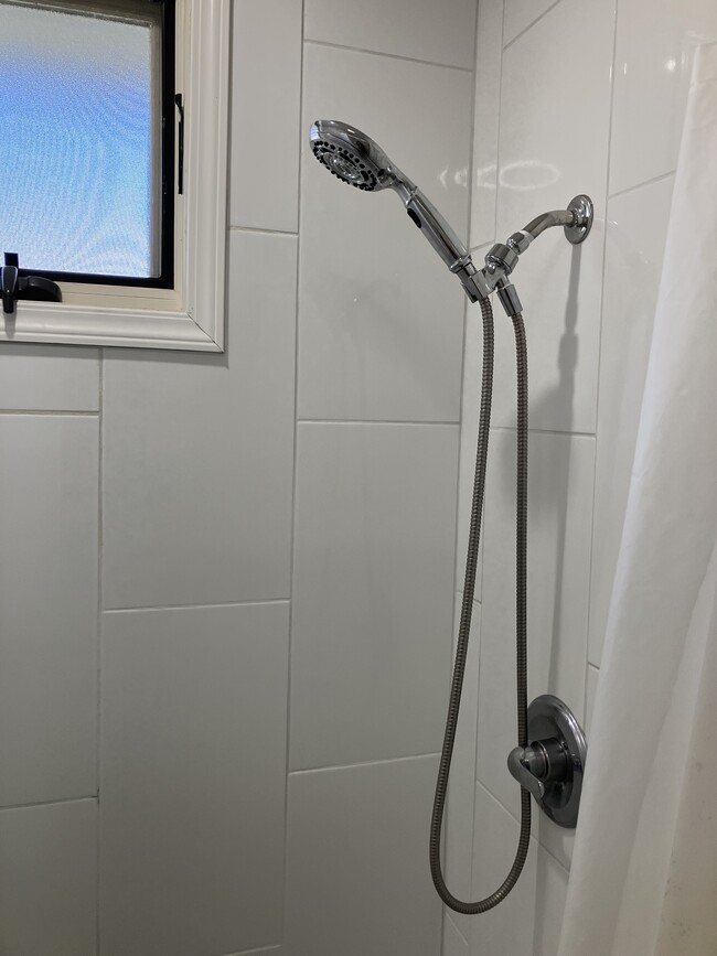 Shower fixture