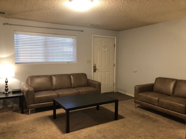 Large Living Room