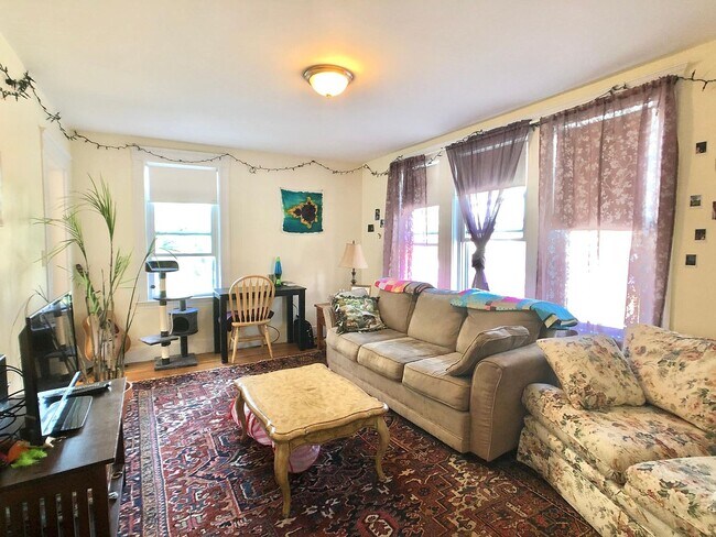 23 Allston St unit 1, Allston, MA 02134 - photo 6