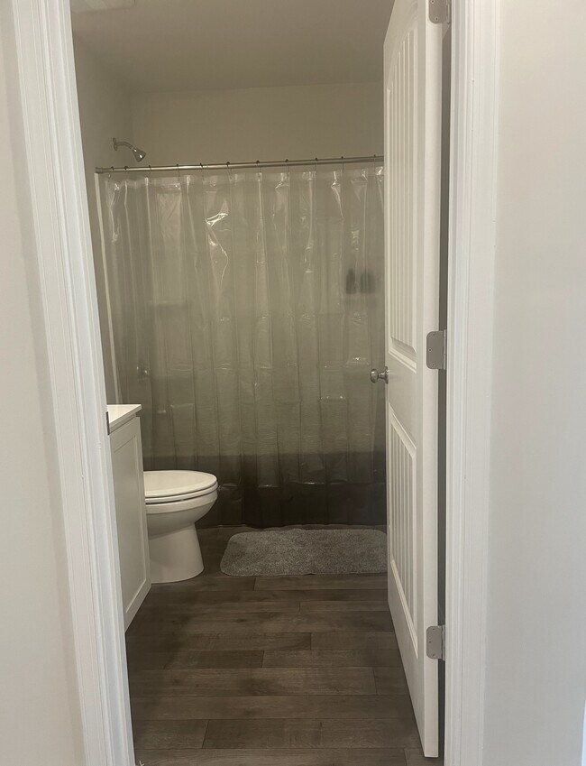 Hall Bathroom