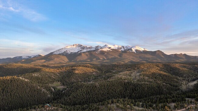 51 Dakota Ln unit ID1360168P, Woodland Park, CO 80863 - photo 6