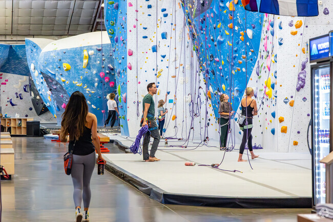 On top of featuring 233 rock-climbing routes, Movement Golden in Golden Ridge offers yoga classes and a cross-fit gym.