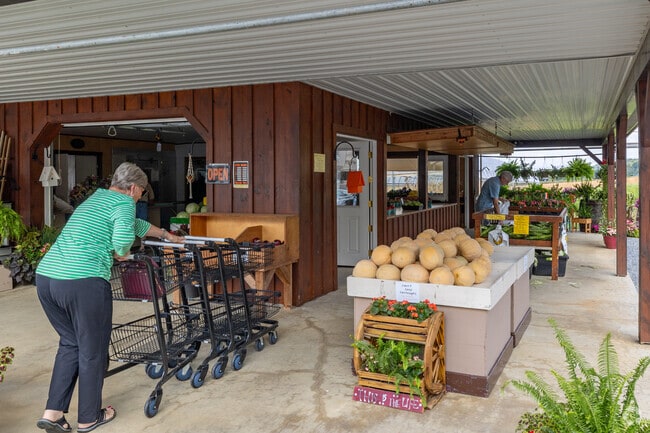Amish markets in Farmdale are essential to residents for fresh produce and homemade goods.