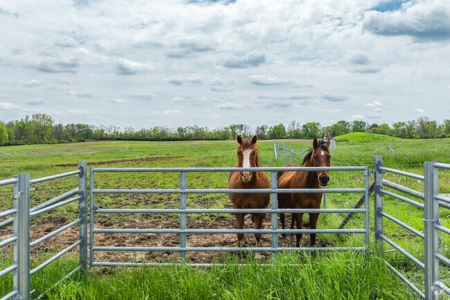 Sprawling farmlands sit beside equestrian facilities featuring horses in Clayton.