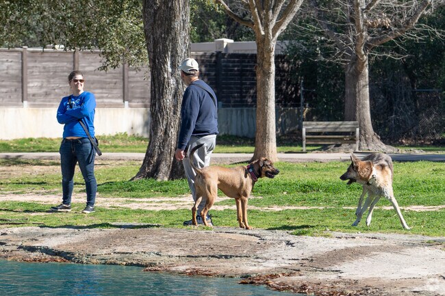 Katy Dog Park provides a safe space for canine play.