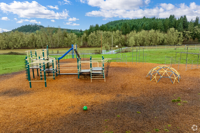 Twin Oaks Elementary School has a playground for kids to enjoy in Eugene, Oregon.