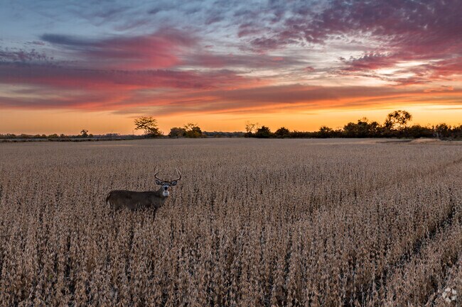 As the sun sets on the horizon outside Westwood, the skyline is framed by golden hues.