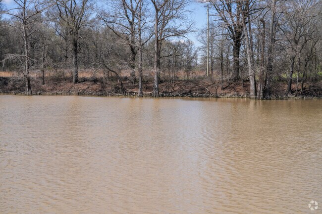With public boat launches and scenic views, the Yazoo River is perfect for kayaking, fishing, and more.