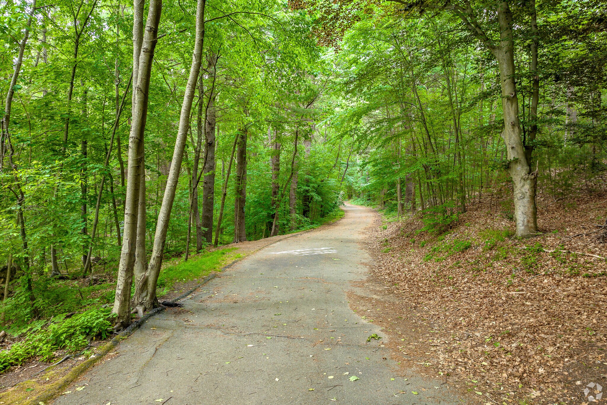Trails at Hadwen Park.