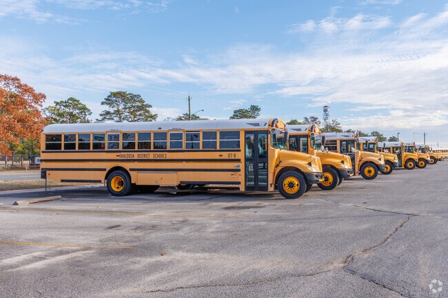 Okaloosa County Schools provide learning opportunities for students throughout Niceville.