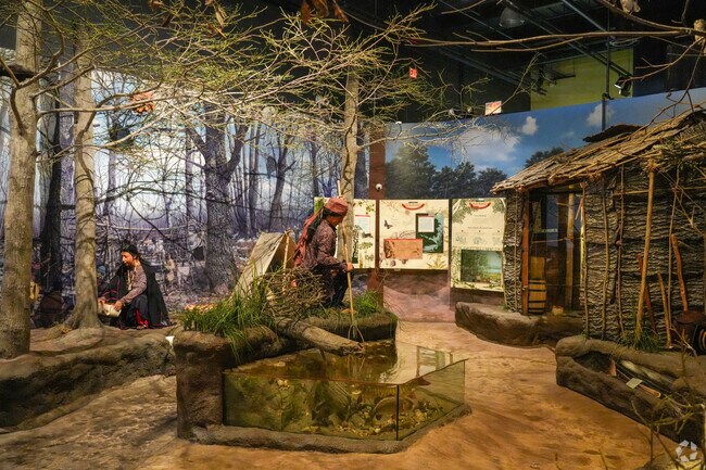 The Kenosha Public Museum is a free museum and tells a great history of downtown Kenosha.