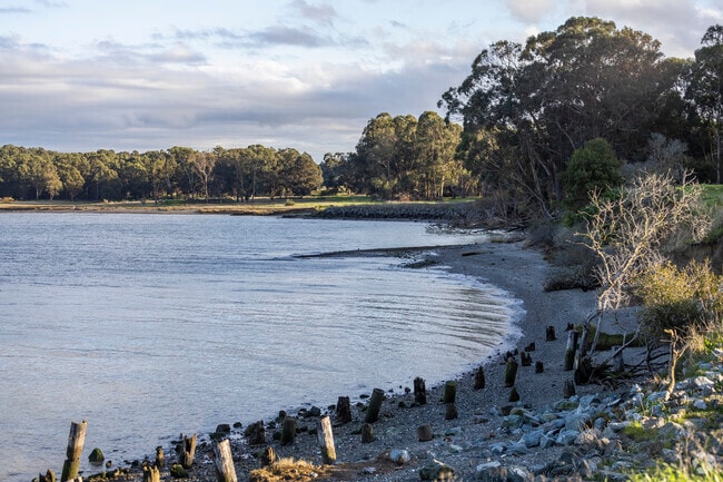 Hilltop/Montalvin's beaches have beautiful vistas of the San Francisco Bay.
