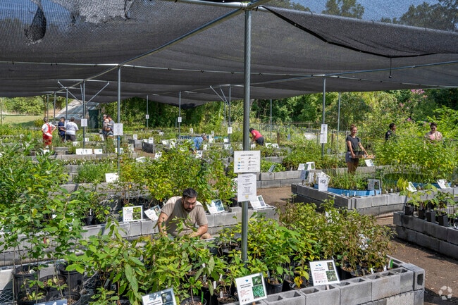 Spruce up your yard at the monthly Chesapeake Natives Plant Sale.