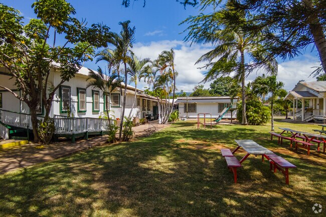 Engage in a comprehensive curriculum, preparing students for success.