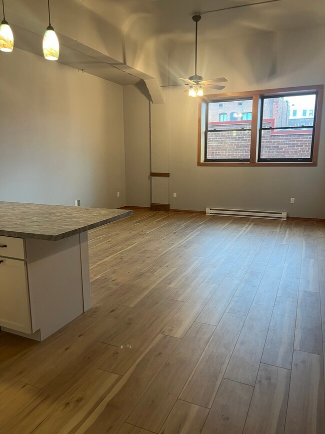 120 5th Ave N unit 2, La Crosse, WI 54601 - photo 4