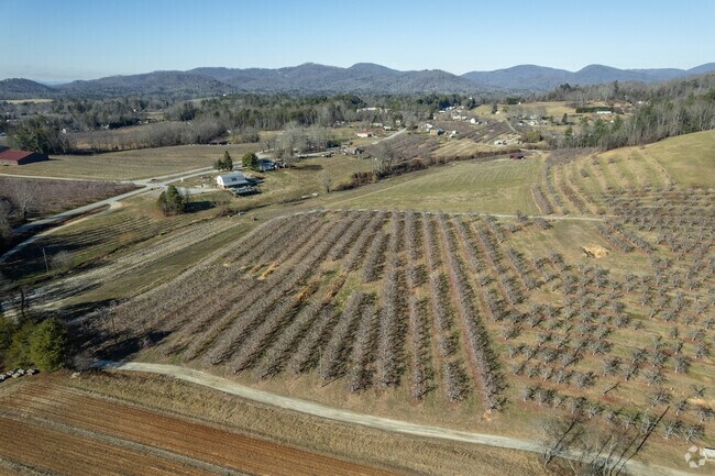 Hendersonville is known for its many vineyards and apple orchards.
