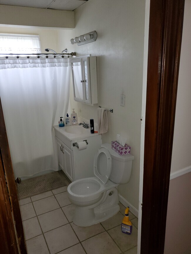 488 Park Ave unit 1, Worcester, MA 01610 - photo 7