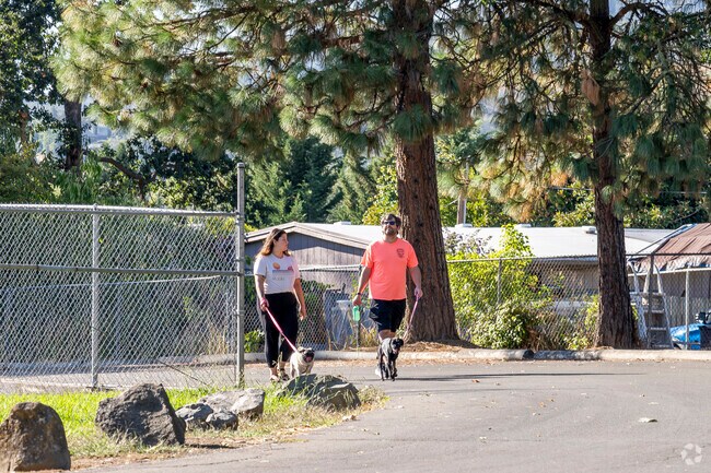 The Winston Dillard County Park is a pet friendly park.