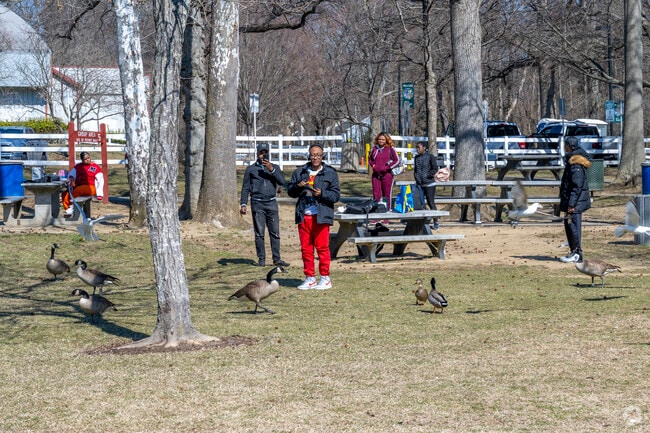 Enfield Chase residents can feed the ducks and geese at Allen Park Pond.