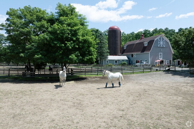 Winterwood is a horse stable and dressage training facility located in Milton.