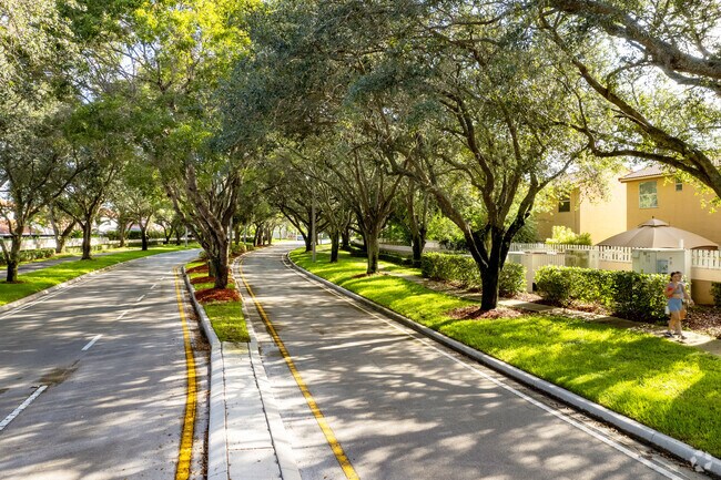 Enjoy a shady walk along the neighborhood streets of Savannah.