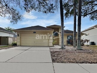 16502 Lake Heather Dr, Tampa, FL 33618