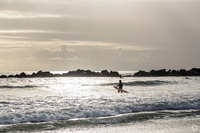 From sunsets to surfing, Venice Beach is a must visit destination.