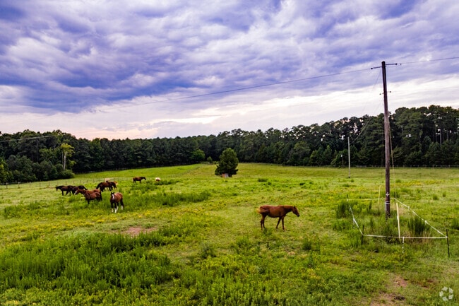 You can still find some farmland and horse pastures in West Apex.