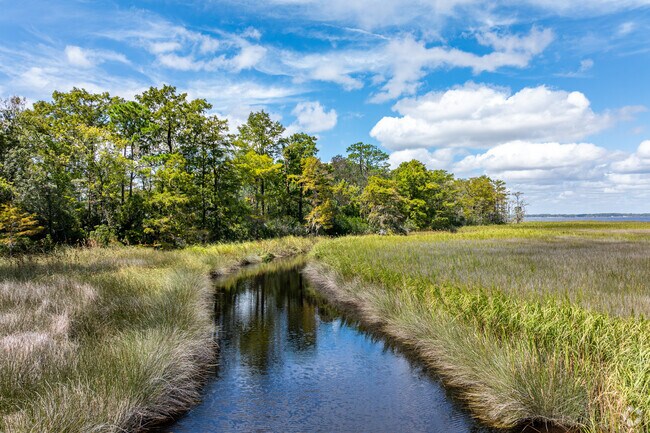 King Creek winds to the Neuse River at Cherry Branch.