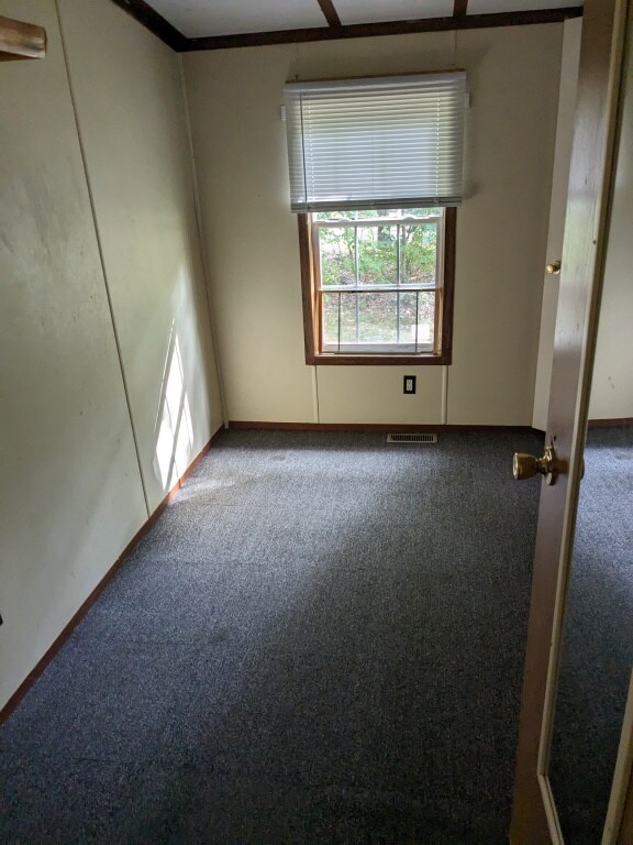 4689 Rosemarie St, Irons, MI 49644 - photo 6