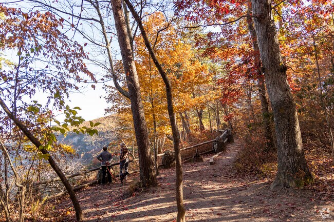 Spanning 3,500 acres, Cloudland Canyon State Park has an abundance of outdoor activities.