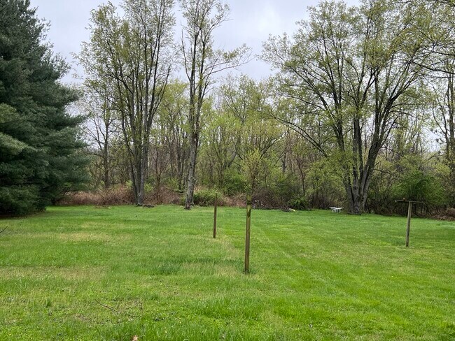 Picturesque backyard