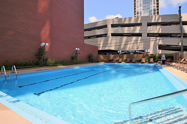 1127 N Dearborn St, Chicago, IL 60610 - photo 7