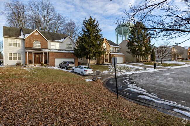 Homes in Forestville are closely placed while retaining private yard space.
