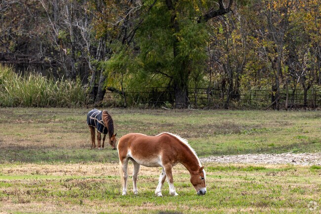 The southern edge of Olivers is a rural oasis of fields and horses.