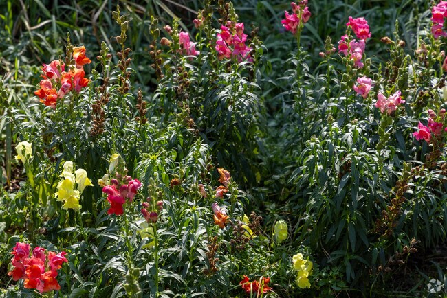 Jacoby Heights is surrounded by natural beauty on residential streets and at parks.