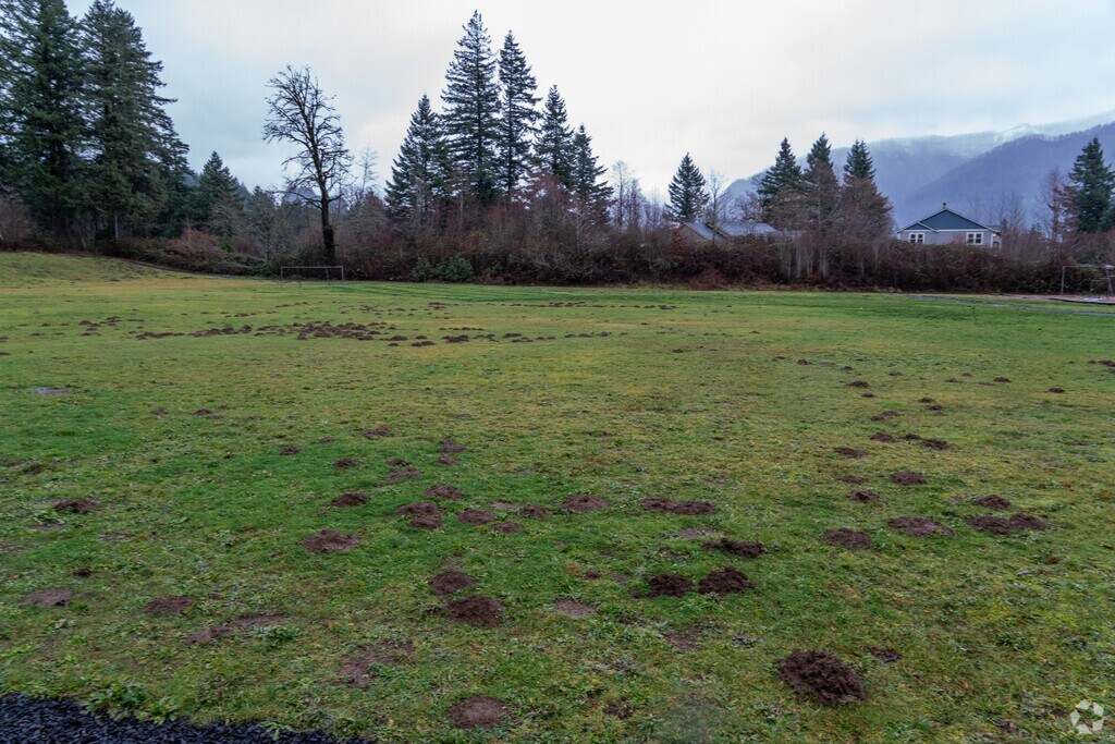 A sports fields sits next to Skamania Elementary School.