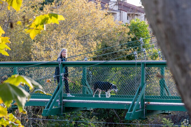 There are many dog friendly parks in Cypress Ridge.